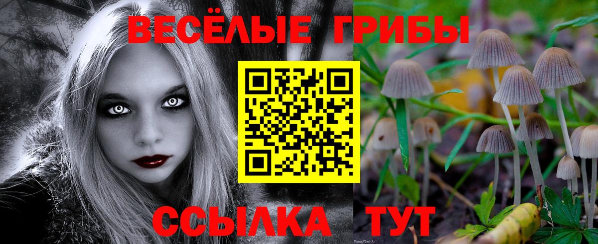 Псилоцибиновые грибы мицелий  Вход с VPN  где купить наркоту  Кыштым 